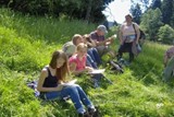 Station "Wiese" - Pflanzen- und Insektenbestimmung