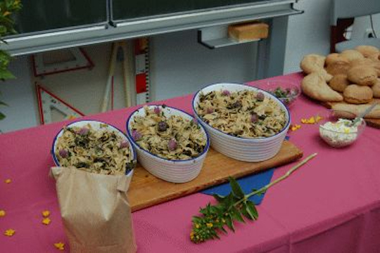 2014_dinkel_smal_0039