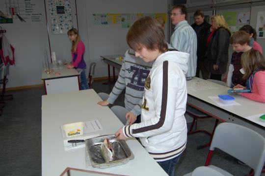 tagderoffenentuer2011-14