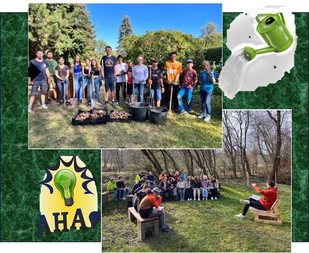 Projekt Schulgarten und Grünes Klassenzimmer