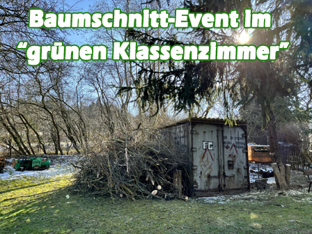 Baumschnitt-Event im "grünen Klassenzimmer"